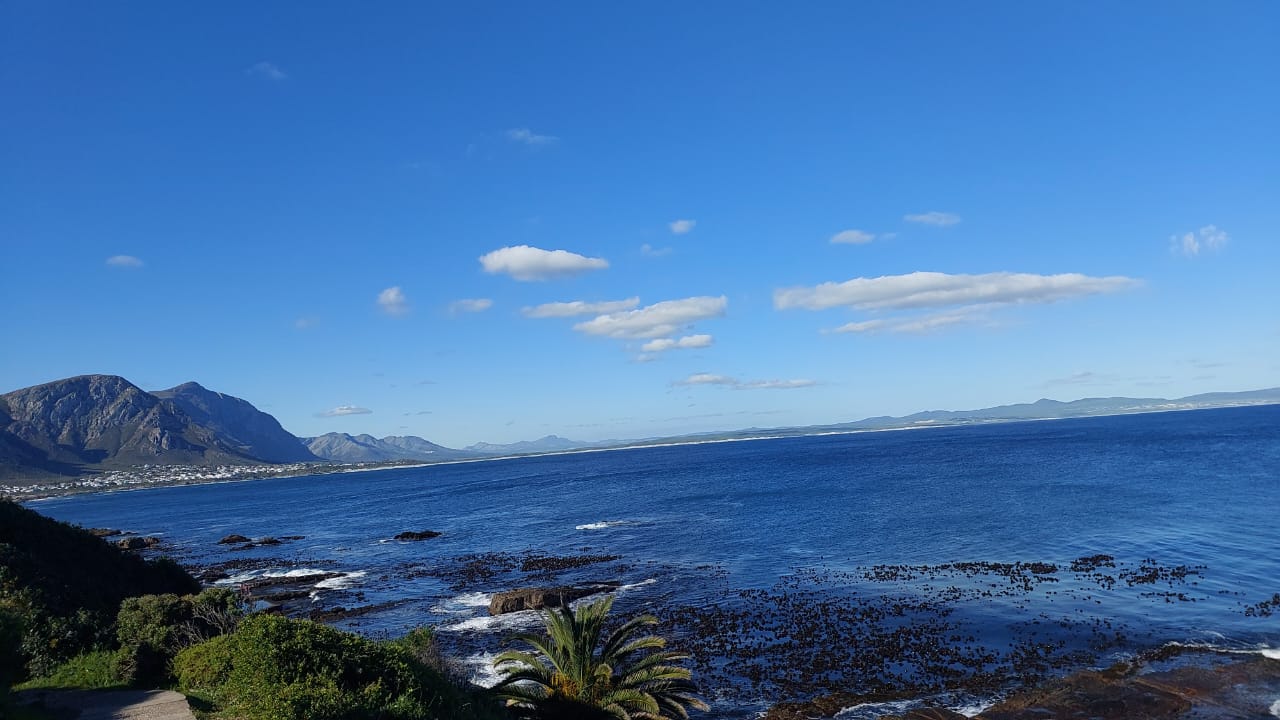 IMG-20260722-WA0020